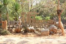 โรงเรียนศรีสังวาลย์ขอนแก่นได้จัดกิจกรรมทัศนศึกษาสวนสัตว์นครราชสีมา ซาฟารีอีสาน